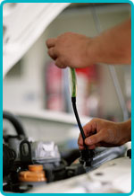 Auto Shop